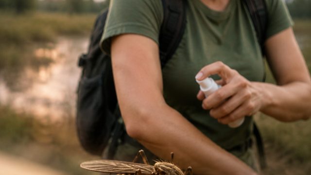 West Nile Virus Detected in Williamson County: Key Precautions You Must Take
